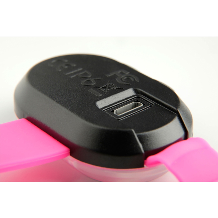 Max and Molly Safety LED Dog Collar Light_pink_back usb