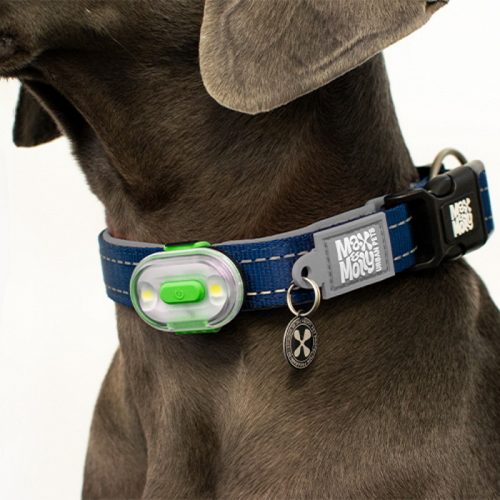 Max and Molly Safety LED rechargable Dog Collar Light_LS
