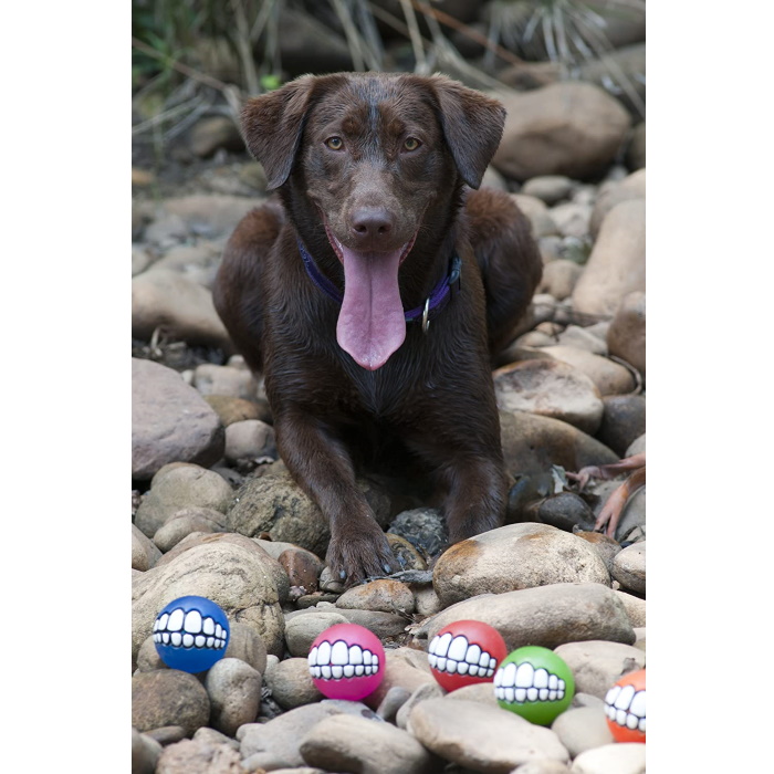 Rogz Grinz Fetch Dog Ball Colour Range