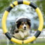 Dog Sports in Australia