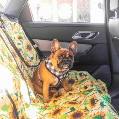 BLD Premium Dog Car Seat Hammock_Bench Sunny Vibes