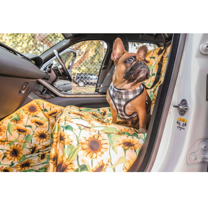 Big & Little Dogs_Front Passenger Seat Cover for Dogs_Sunny Vibes