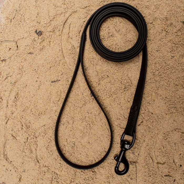 Biothane waterproof dog leash 6ft Black