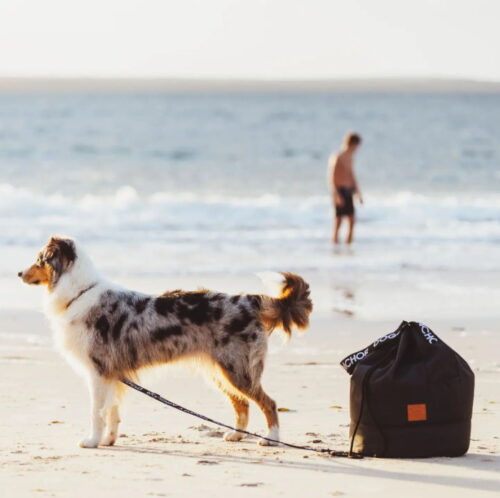 Doggy Anchor Beach Bag and Anchor Bag