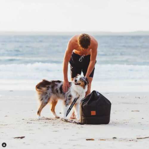 Doggy Anchor Dual Purpose_Beach Bag and Anchor Bag