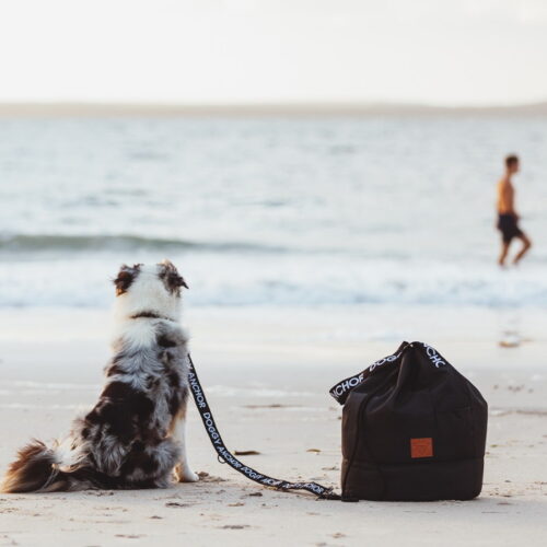 Doggy Anchor_Beach Bag_Anchor Bag