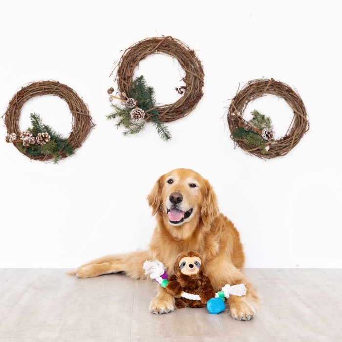 Fringe Studio Christmas Sloth Plush Dog Toy_Let It Glow