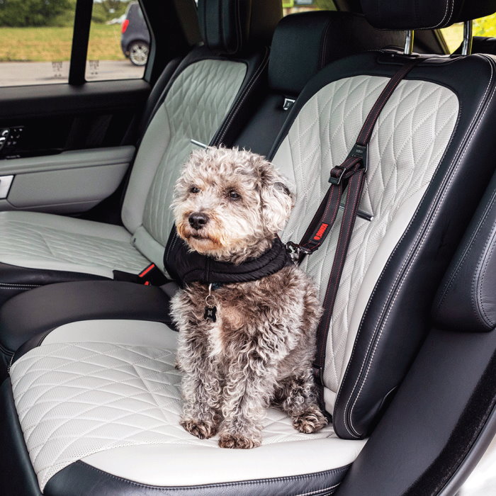 KONG Ultimate Safety Dog Car Seat Restraint