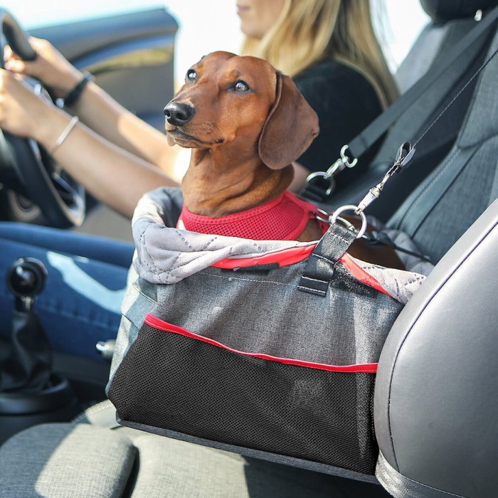 Kong Pet Car Booster Seat for dogs