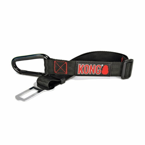 Kong seat belt tether for dogs