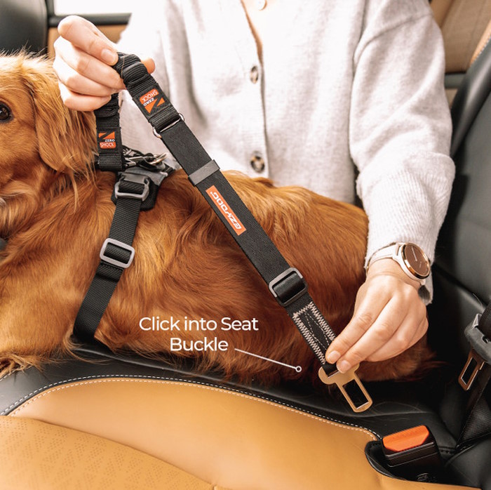 EzyDog Zero Shock Dog Seat Belt