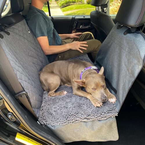Dirty Dog Car Seat Hammock