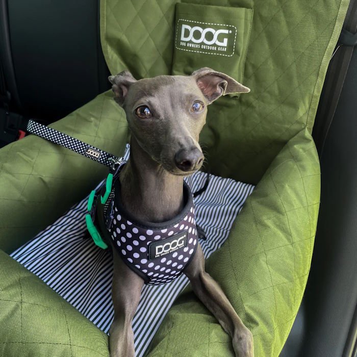 DOOG Car Travel Bed for Dogs Green LS1