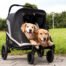 Ibiyaya Grand Cruiser Large Dog Stroller for multiple Dogs up to 50kg