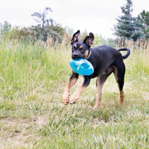 KONG Jumbler Football Fetch Dog Toy