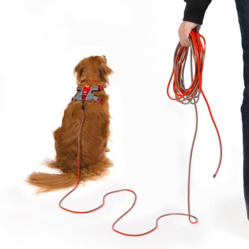 EzyDog Trackntrain dog leash_02