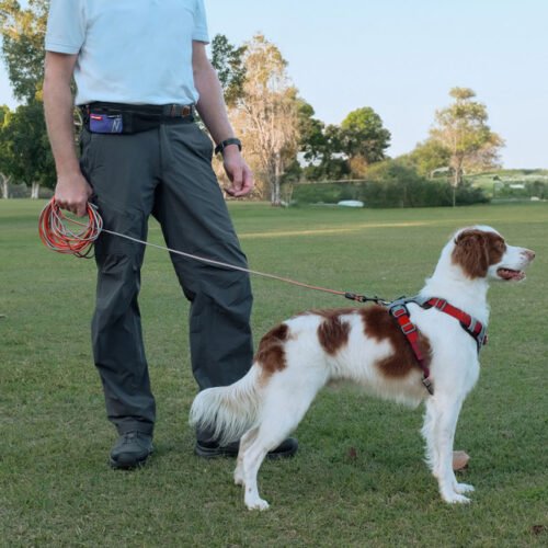 EzyDog Training leash for dogs