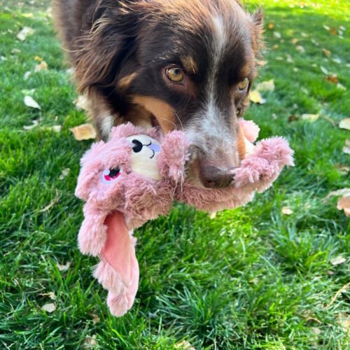 Kong Scrumplez Bunny Plush Dog Toy