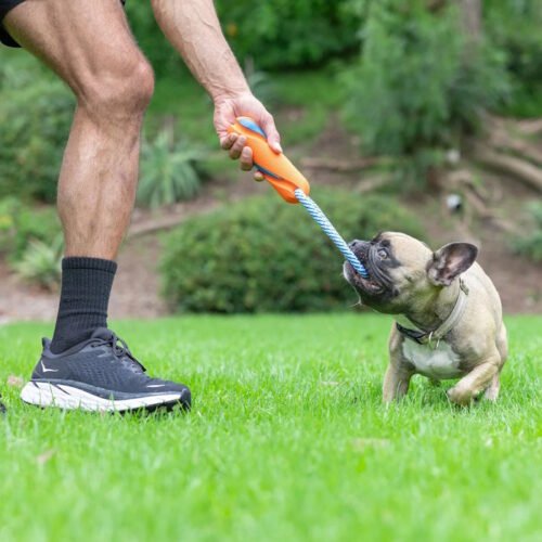 Chuckit Ultra Bumper Tug Dog Toy LS