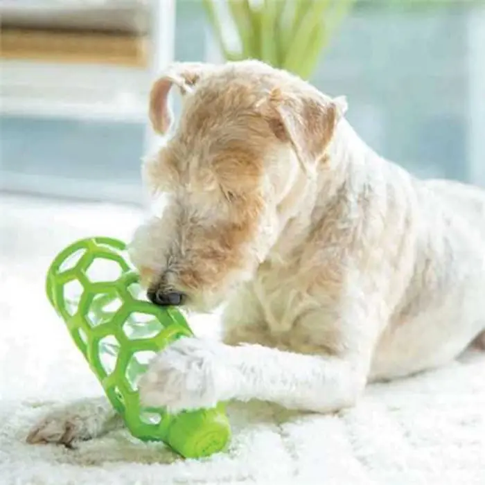 JW Hol-ee Water Bottle Dog Toy LS1