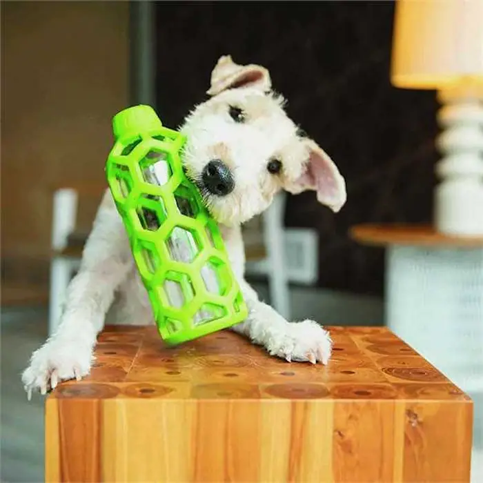 JW Hol-ee Water Bottle Dog Toy LS2