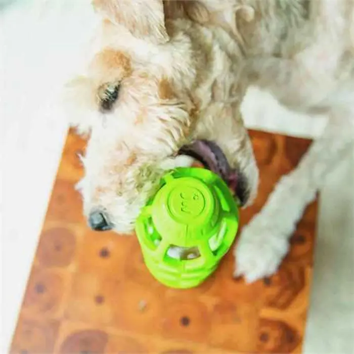 JW Hol-ee Water Bottle Dog Toy LS3