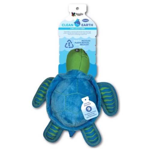 Spunky Pup Clean Earth Dog Toy_Turtle Large