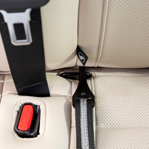 Kurgo Direct to Latch Swivel Dog Car Tether ISOFIX