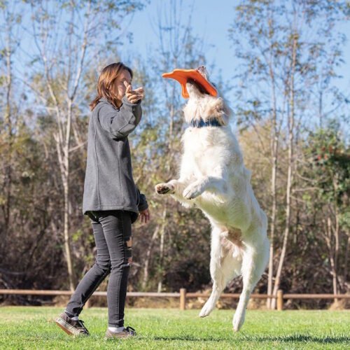 Chuckit Ultra Flying Squirrel Dog Toy Frisbee