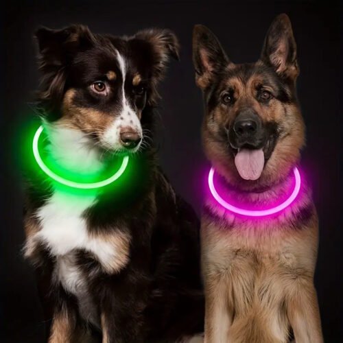 LED Rechargable Dog Collar_safety light