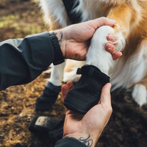 Ruffwear_Ridgeline_Lifestyle_Zento-2