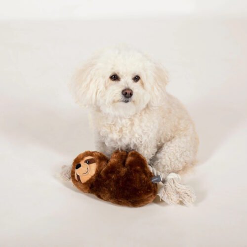 Fringe Studio Sluggish Stanley Sloth Dog Toy with squeaker