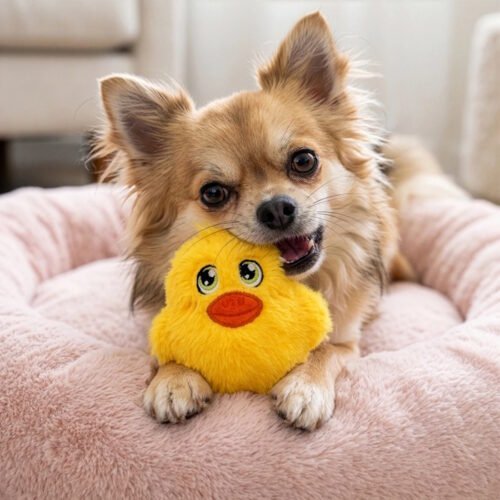 Kong Snuzzles Mini Duck plush dog toy LS