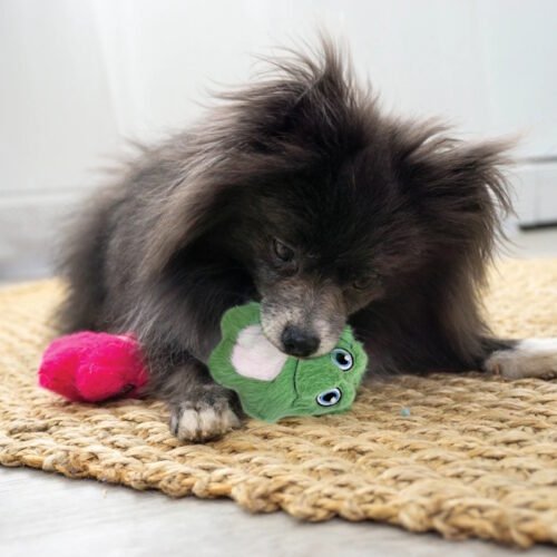 Kong Snuzzles Mini Frog plush dog toy LS