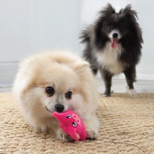 Kong Snuzzles Mini Pig plush dog toy LS