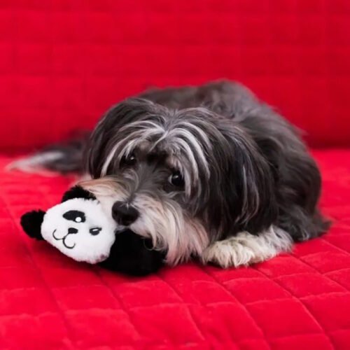 Zippy Paws Squeakie Pads 2 Pack Panda